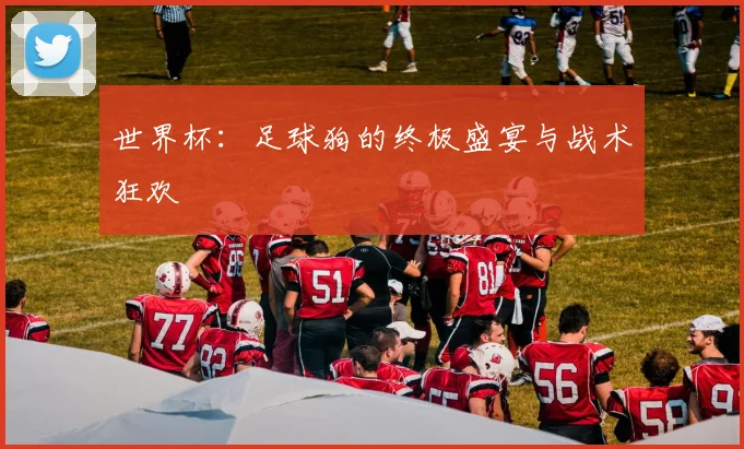 世界杯：足球狗的终极盛宴与战术狂欢