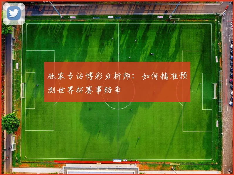 独家专访博彩分析师：如何精准预测世界杯赛事赔率