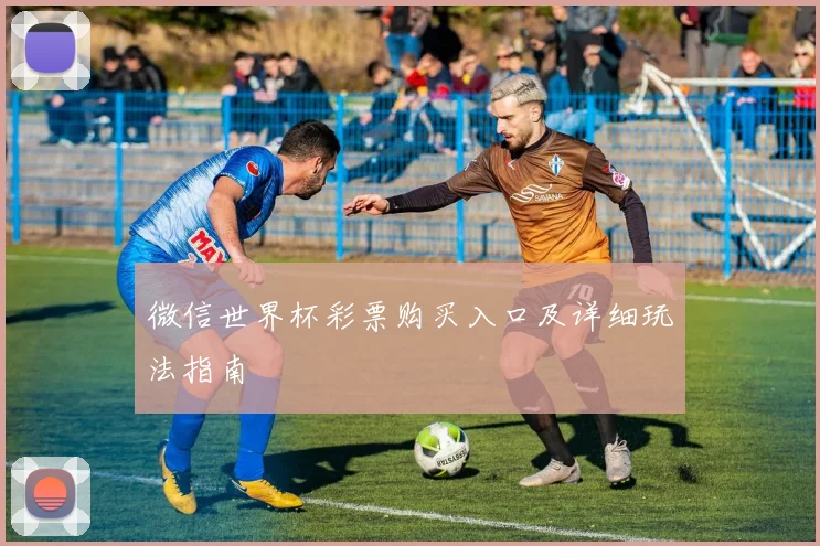 微信世界杯彩票购买入口及详细玩法指南