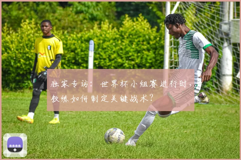独家专访：世界杯小组赛进行时，教练如何制定关键战术？