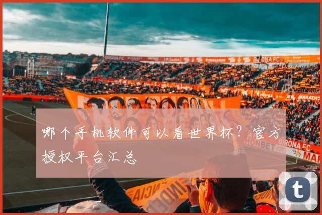 哪个手机软件可以看世界杯？官方授权平台汇总