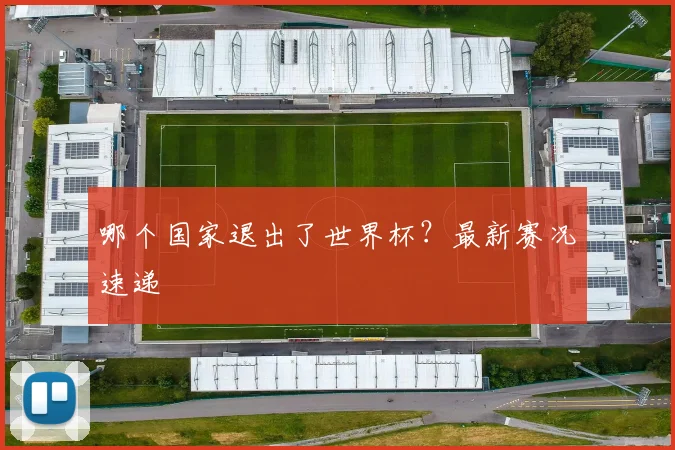 哪个国家退出了世界杯？最新赛况速递