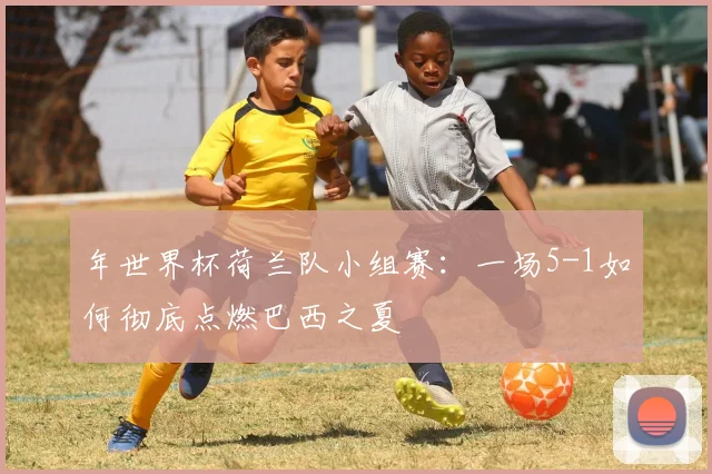 年世界杯荷兰队小组赛：一场5-1如何彻底点燃巴西之夏