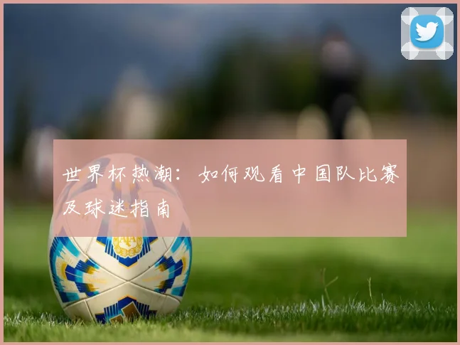 世界杯热潮：如何观看中国队比赛及球迷指南