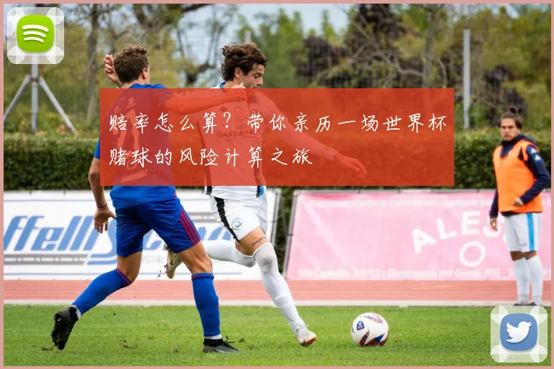赔率怎么算？带你亲历一场世界杯赌球的风险计算之旅