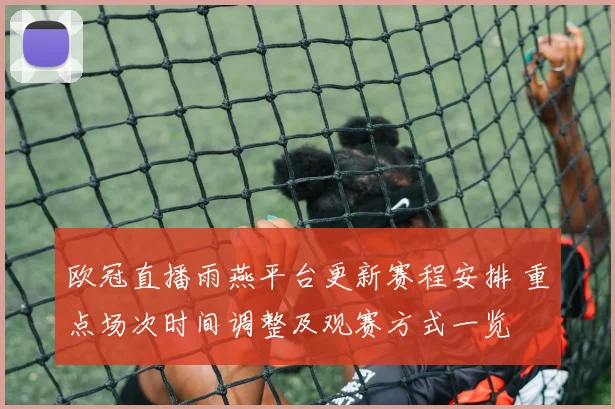 欧冠直播雨燕平台更新赛程安排 重点场次时间调整及观赛方式一览