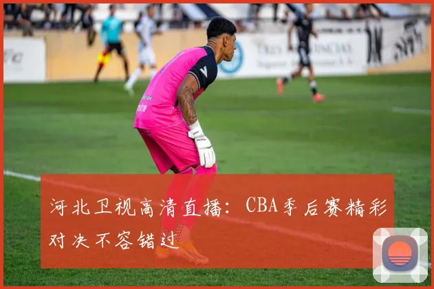 河北卫视高清直播:CBA季后赛精彩对决不容错过