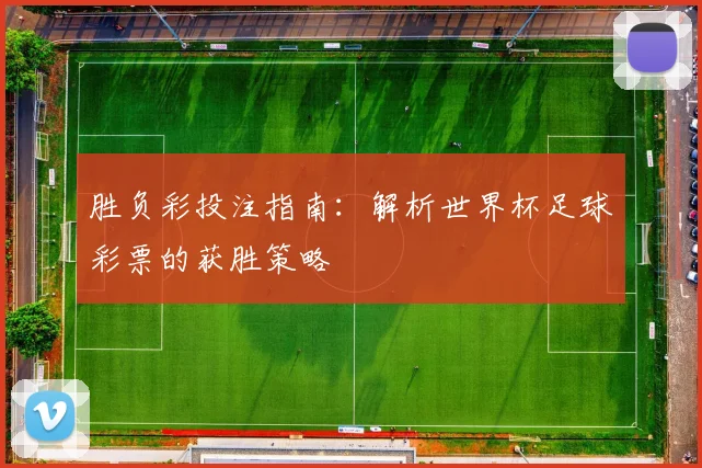 胜负彩投注指南：解析世界杯足球彩票的获胜策略