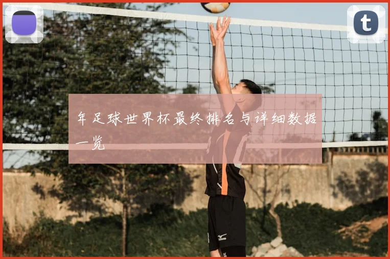 年足球世界杯最终排名与详细数据一览
