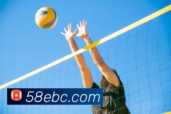 米兰官网首页入口全站App 米兰官网首页入口全站App